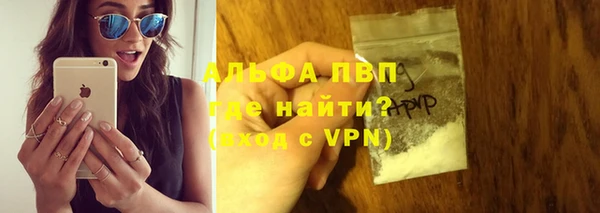 СК Алексин